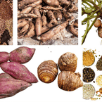 GRAINS & TUBERS