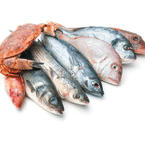 SEA FOODS