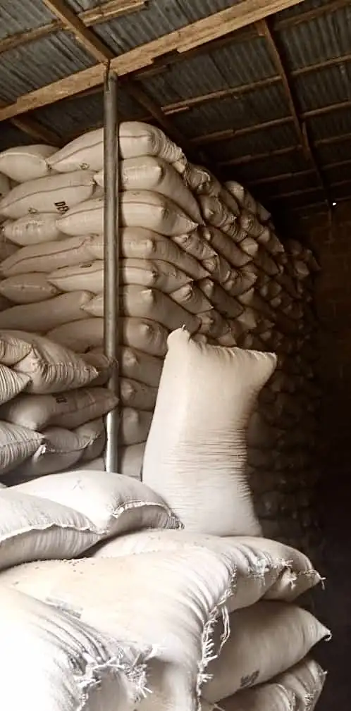 Fonio Grain