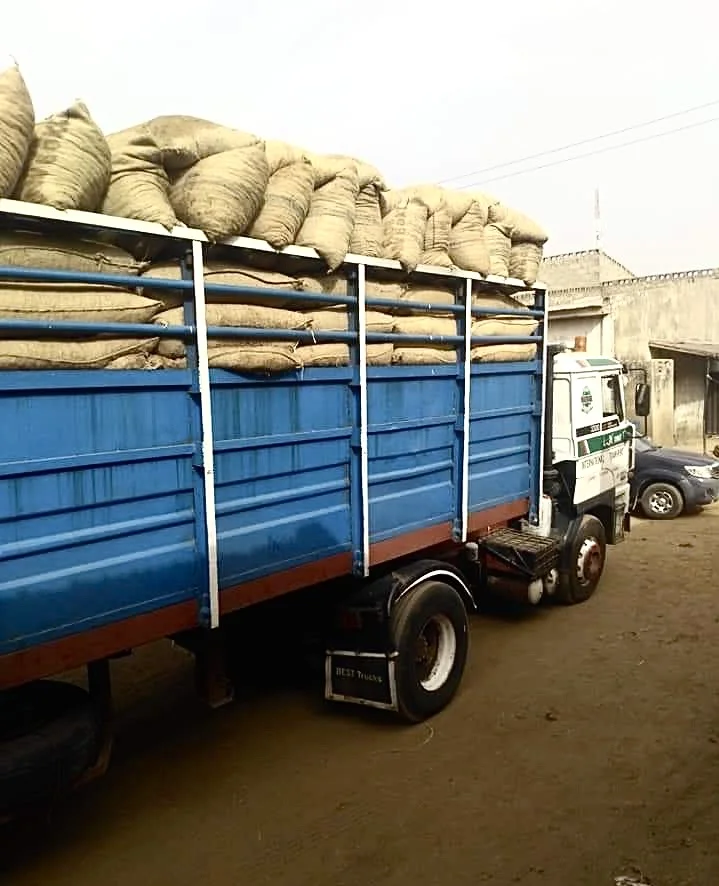 Wholesale Raw Cashew Nuts