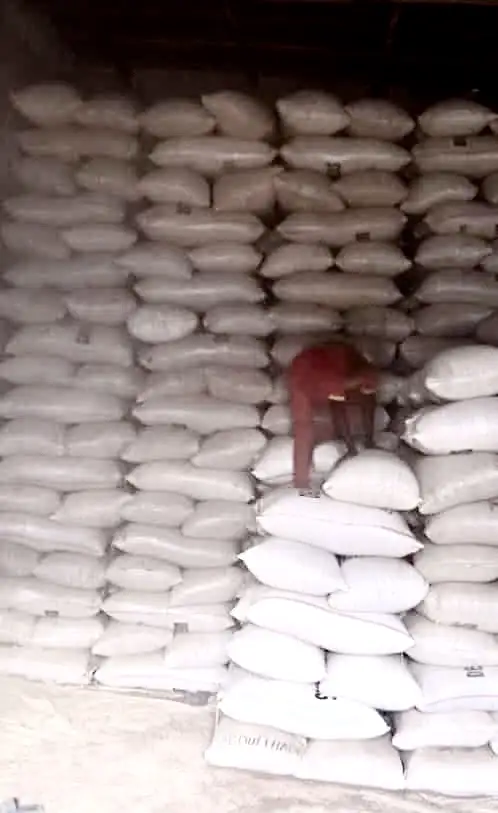 Wholesale Cassava Flour