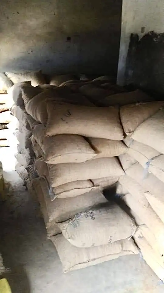 Wholesale Dried Ginger