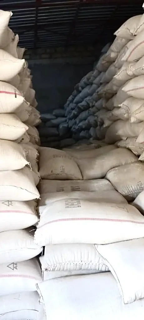 Wholesale Soya Beans